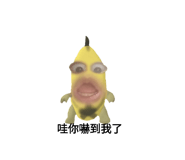 794609075