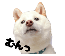 794613948