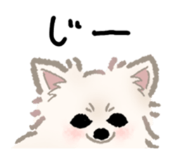 794638677