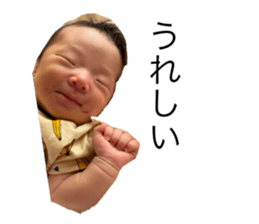 794650530