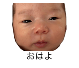 794650531