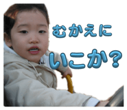 794656218