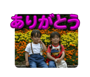 794656230