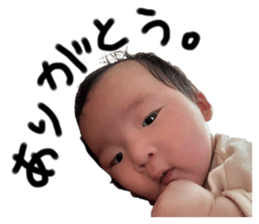 794658844