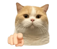 794660703