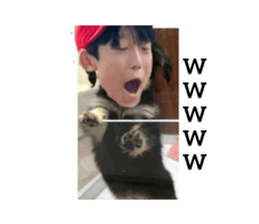 794663065