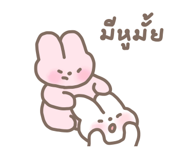 ลายที่ 13