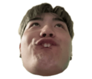 794667067
