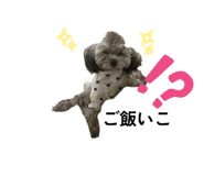 794667917