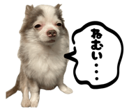 794669526