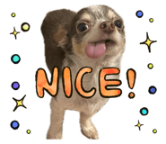 794669530