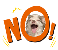 794669533