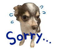794669540