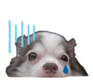 794669541