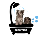 794669558