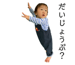 794671445
