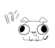 794672090