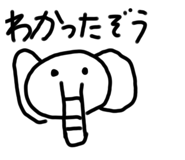 794674437