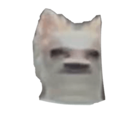 794674606
