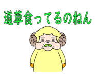 794683517