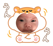 794684011