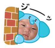 794684013