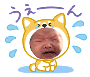 794684018