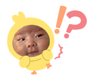 794684019