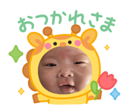 794684020