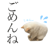 794684747
