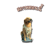 794693387