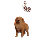 794693390