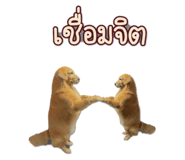 794693403