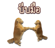 794693405
