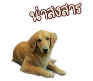 794693408