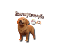 794693410