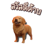 794693411