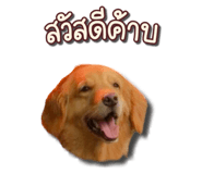 794693413
