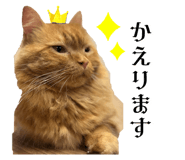 794694224