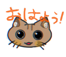 794717416