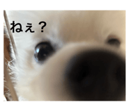 794717587