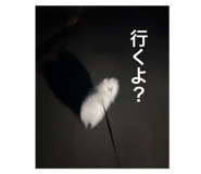 794717591