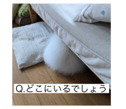 794717610