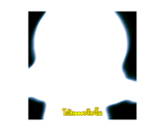 794720219