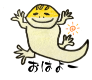 794739353