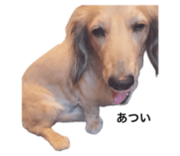 794744469