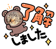 794753730