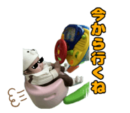 794754355