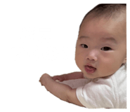 794781355