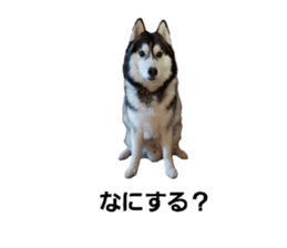 794785105